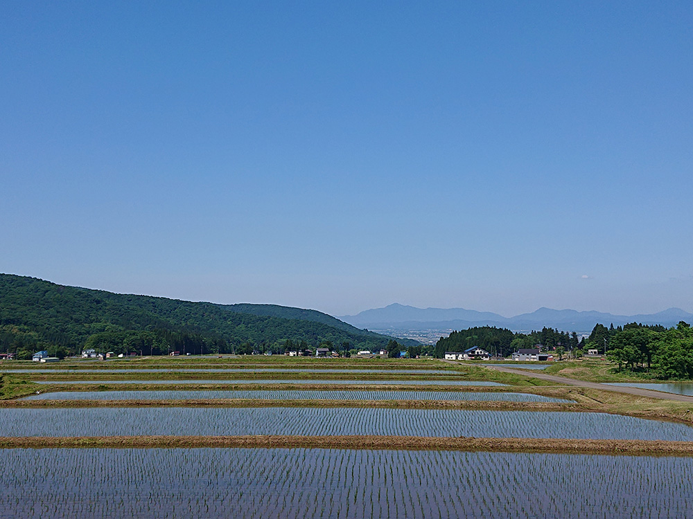 大江口土地改良区